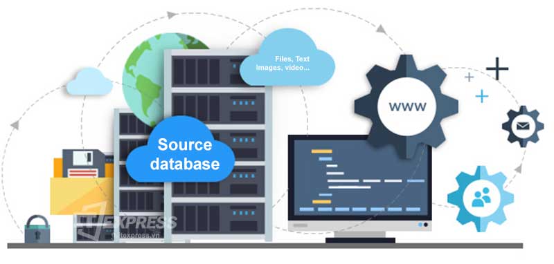 Lựa chọn gói Hosting phù hợp để duy trì website