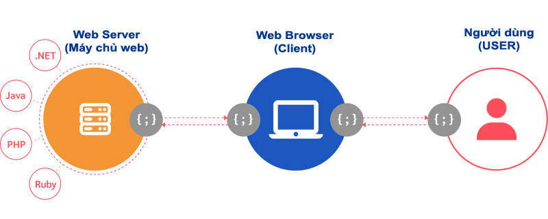 Thiết kế website làm những gì?