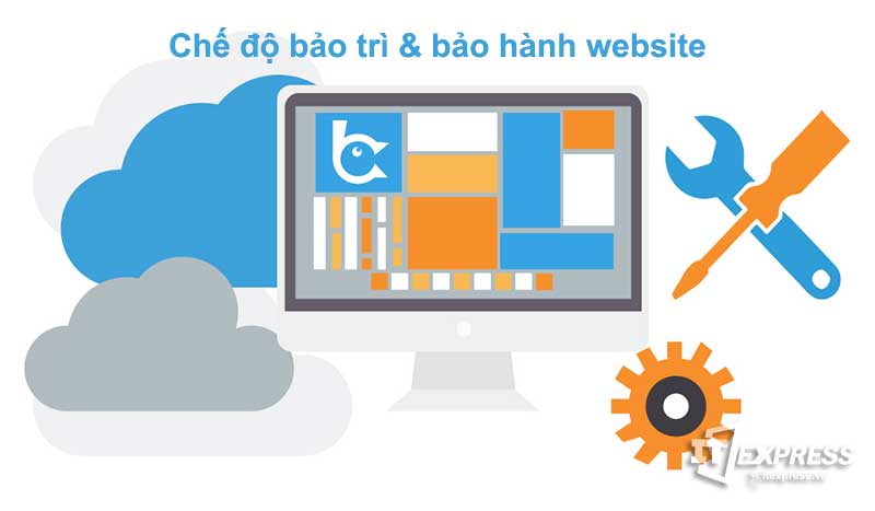 Chế độ bảo hành, bảo trì website