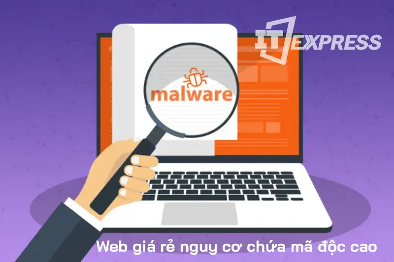 Web giá rẻ có nguy cơ nhiễm mã độc rất lớn